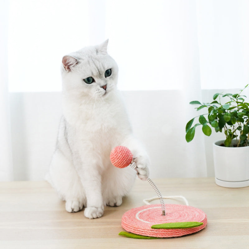 Hanging Fruit Scratcher with Spring Balls petin