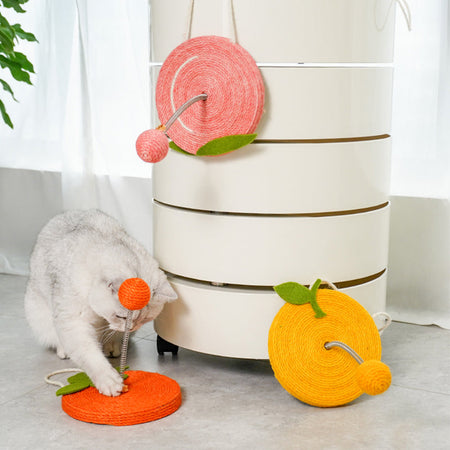 Hanging Fruit Scratcher with Spring Balls petin