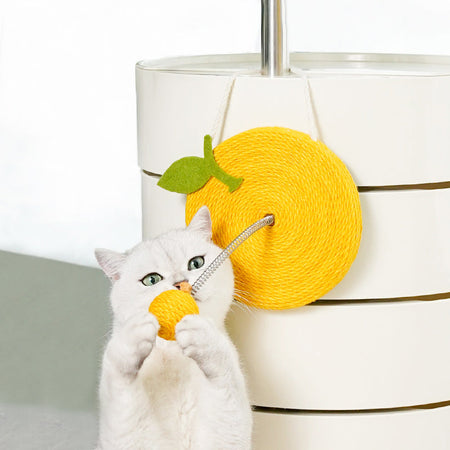 Hanging Fruit Scratcher with Spring Balls petin