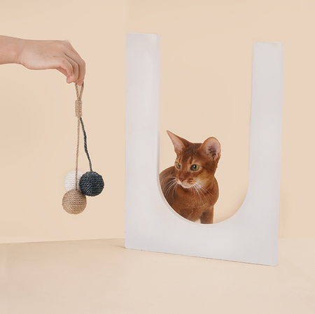 Hanging Scratcher Cat Toy Ball Set petin