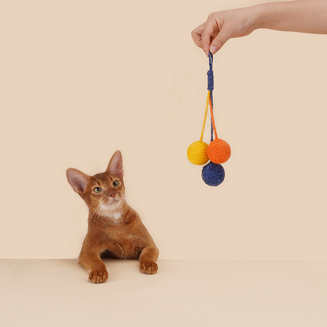 Hanging Scratcher Cat Toy Ball Set petin