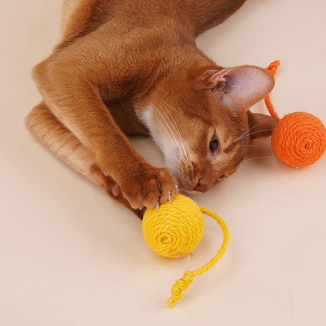 Hanging Scratcher Cat Toy Ball Set petin