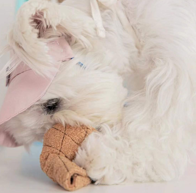 Ice-cream Sniffing Plush Toy with Sound lovepetin.com