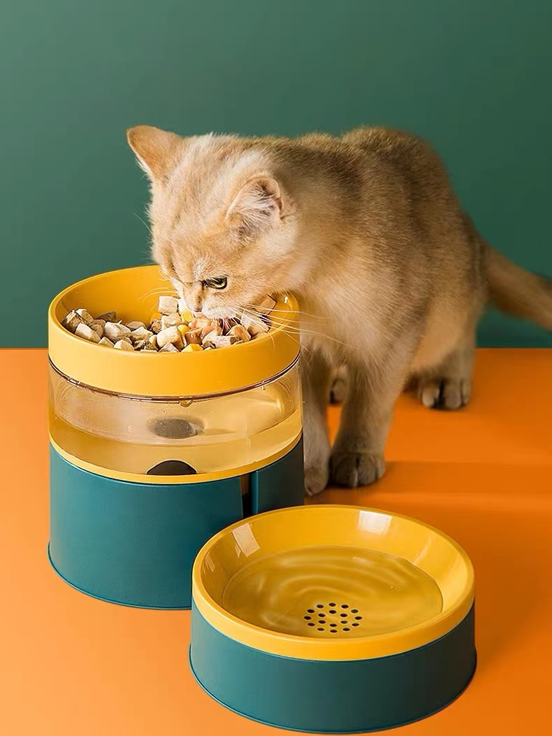 Innovative Food and Drink Neck-care Pet Bowl lovepetin.com