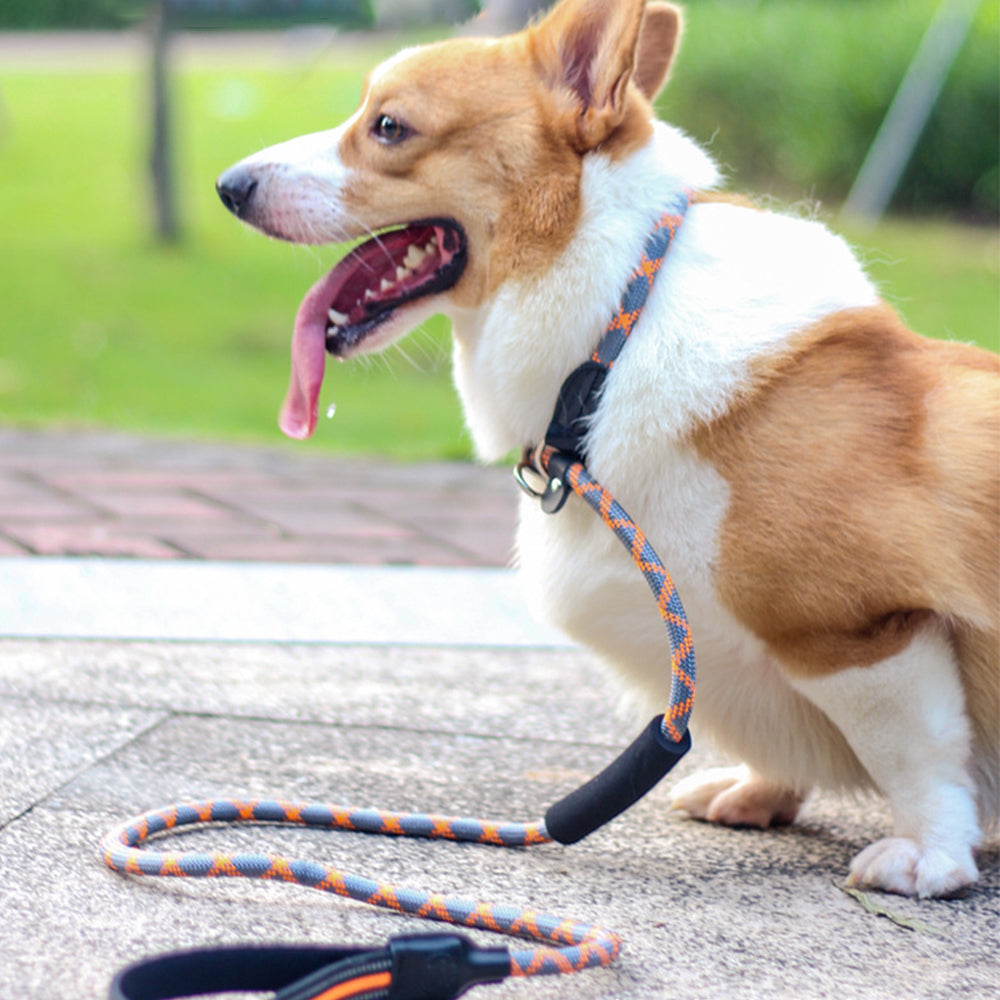 Integrated Adjustable Nylon Dog Leashes lovepetin.com