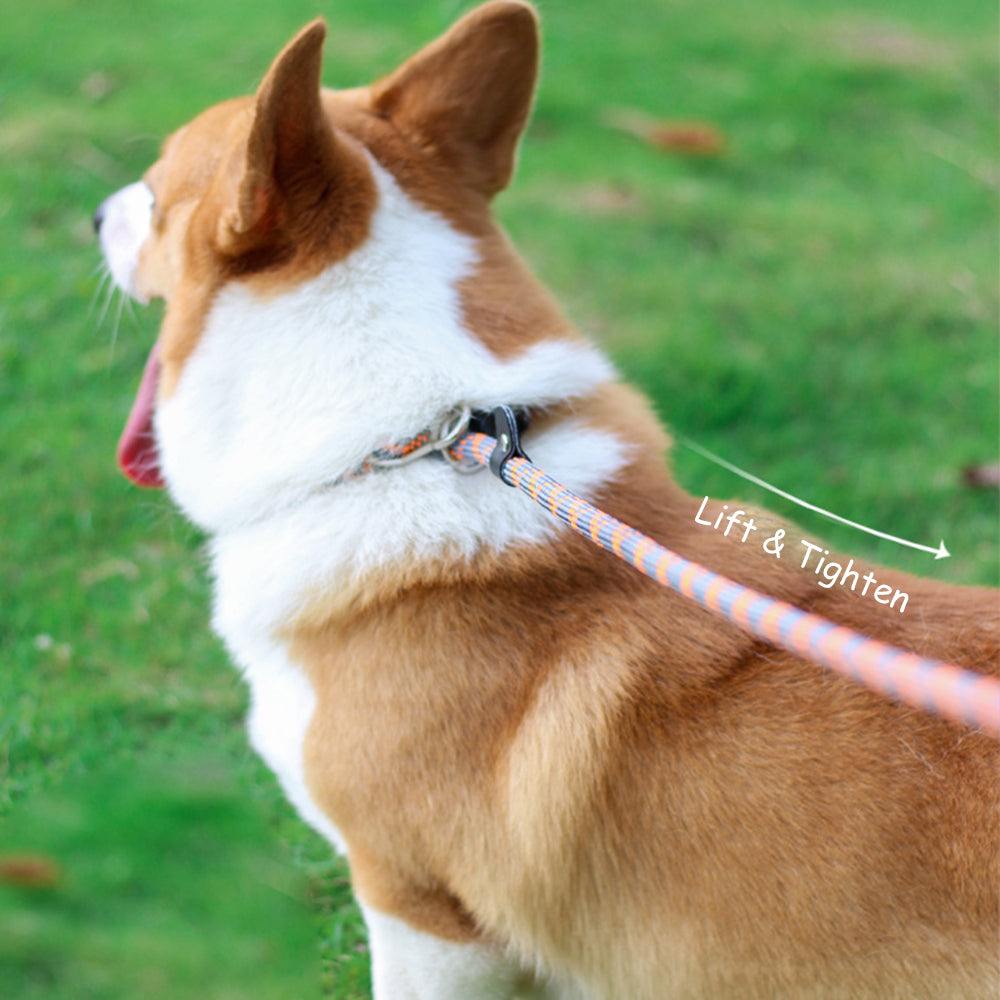 Integrated Adjustable Nylon Dog Leashes lovepetin.com