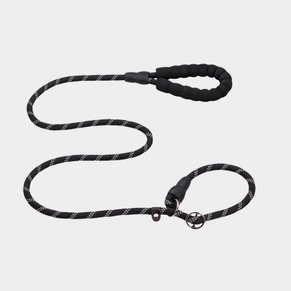 Integrated Adjustable Nylon Dog Leashes lovepetin.com