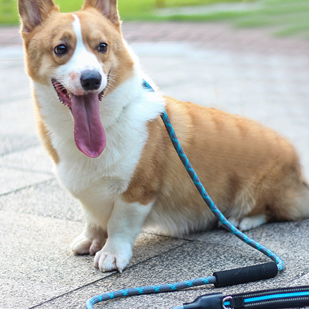 Integrated Adjustable Nylon Dog Leashes lovepetin.com