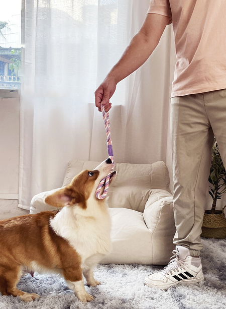 Interactive Chewing and Pulling Rope Toy lovepetin.com