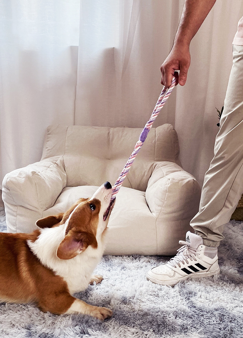 Interactive Chewing and Pulling Rope Toy lovepetin.com