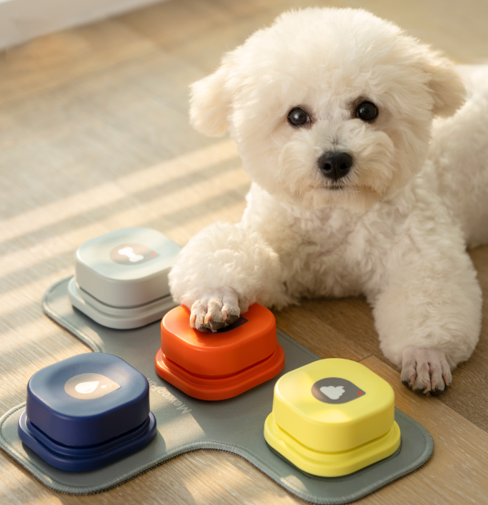 Interactive Training Button Image Lovepetin | Interactive Recordable Training Dog Buttons