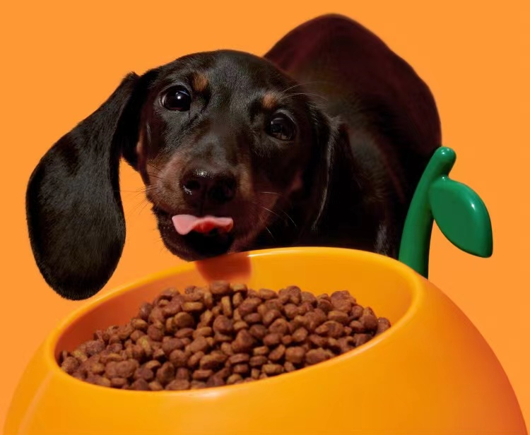 Juicy Cherry &Tangerine Pet Food Bowl lovepetin.com