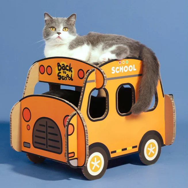 Kindergarten Cat Scratching Board