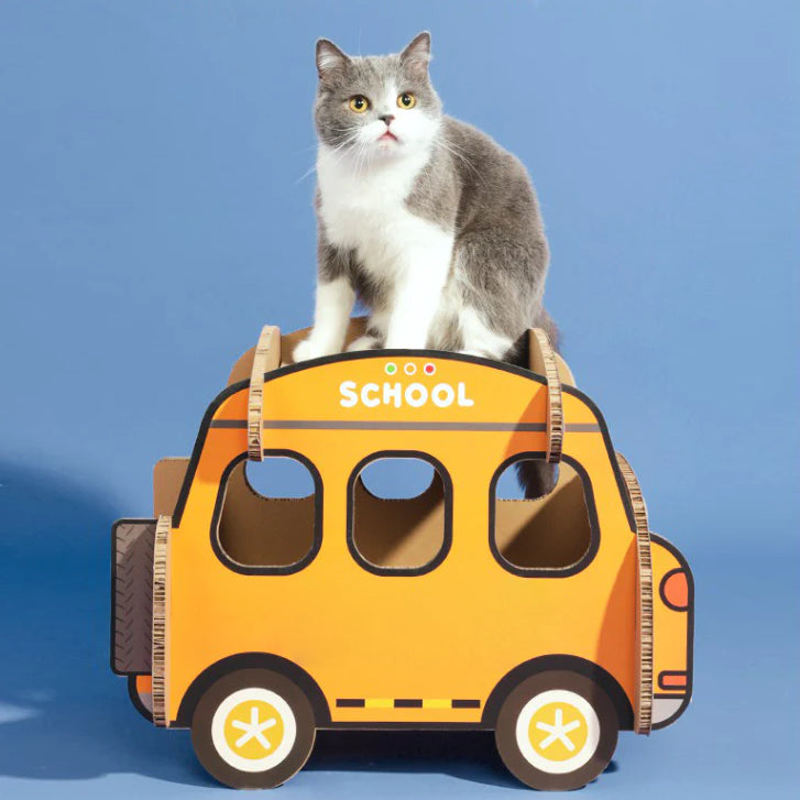 Kindergarten Cat Scratching Board 2