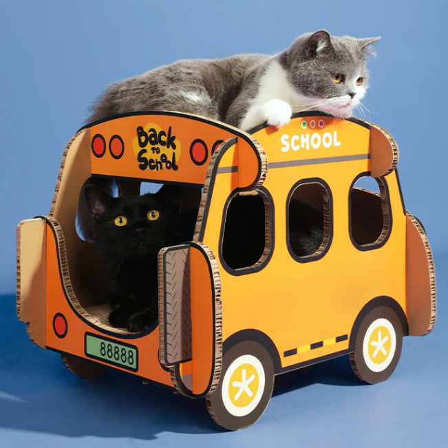 Kindergarten Cat Scratching Board 1