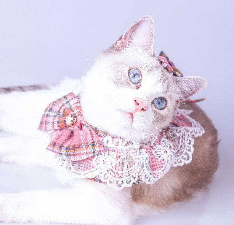 Lace Edge Plaid Cat Collar lovepetin.com