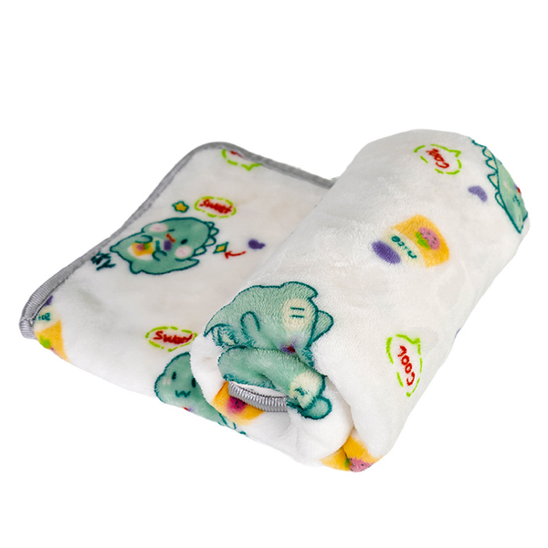 Little Dinosaur Pet Blanket lovepetin.com