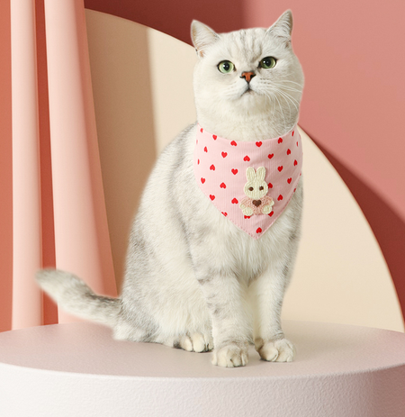 Lovely Bunny With Heart Pattern Cat Bandana lovepetin.com