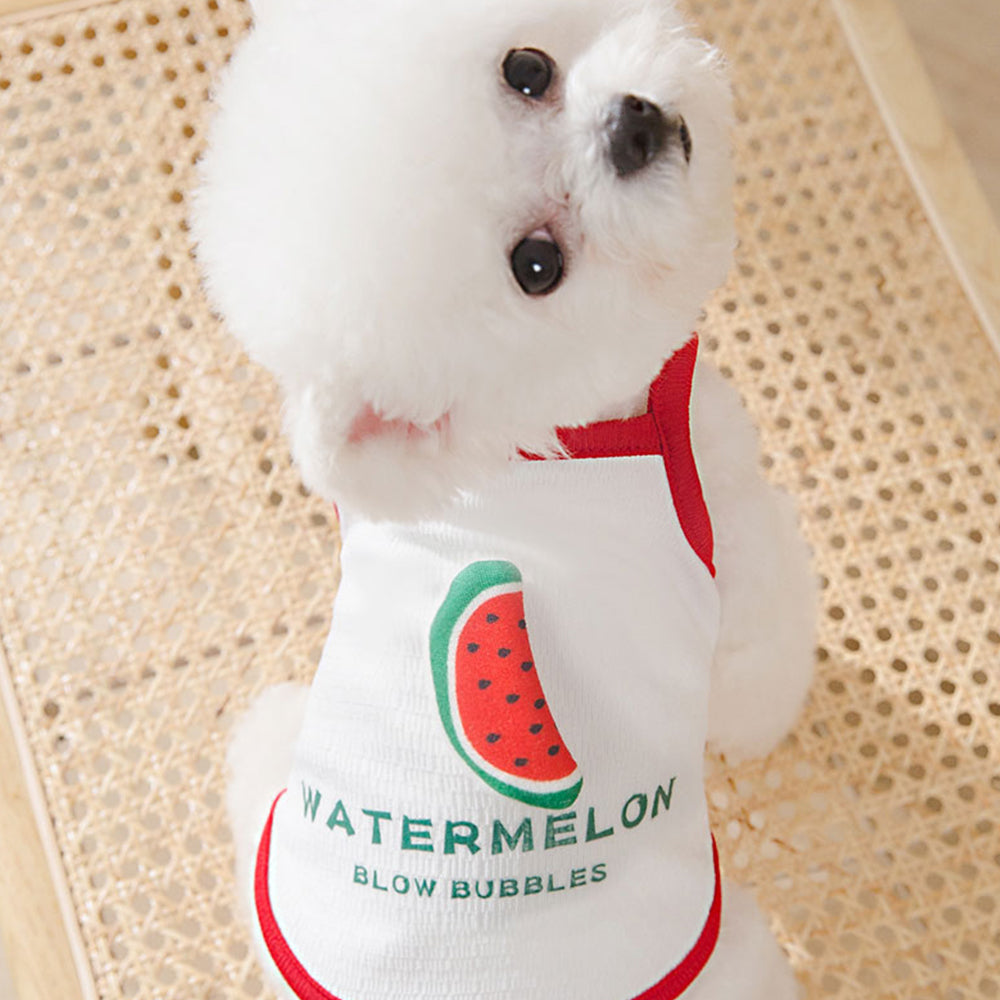 Lovely Fruit&Vegetable Dog Sun-Top lovepetin.com