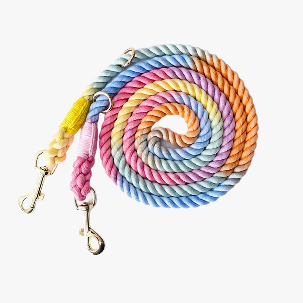 Macaron Color Multi-purpose Double-ended Dog Leashes lovepetin.com