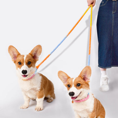 Macaron Color Multi-purpose Double-ended Dog Leashes lovepetin.com