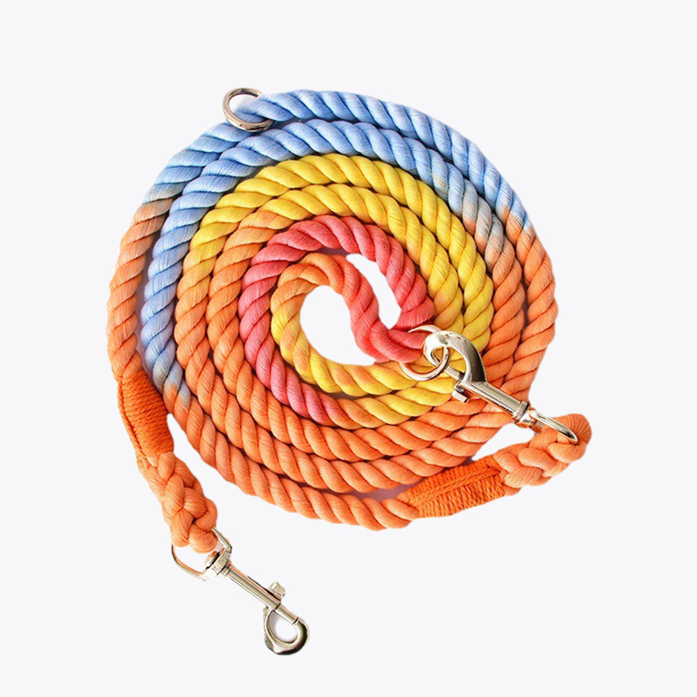 Macaron Color Multi-purpose Double-ended Dog Leashes lovepetin.com