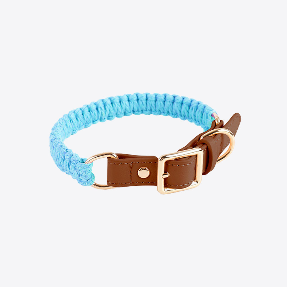 Macaron Handwoven Dog Collar lovepetin.com