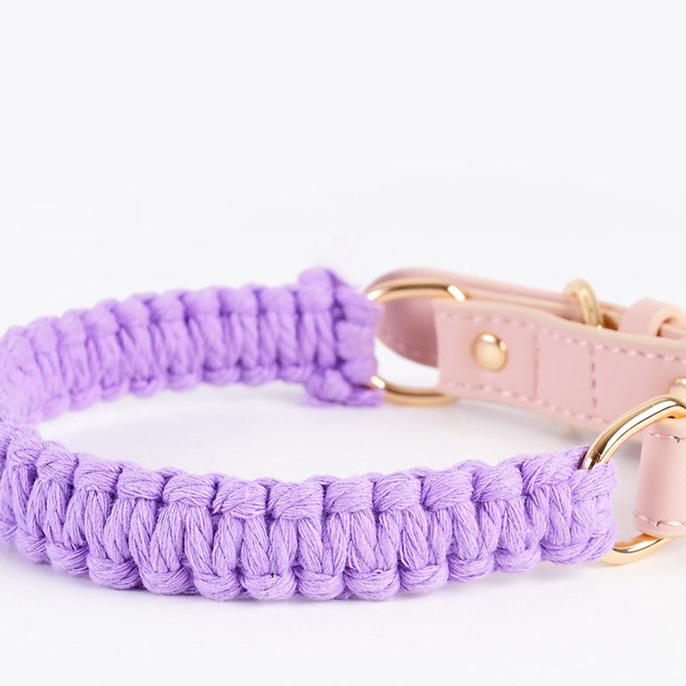 Macaron Handwoven Dog Collar lovepetin.com