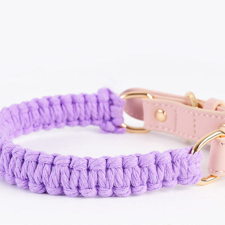 Macaron Handwoven Dog Collar lovepetin.com