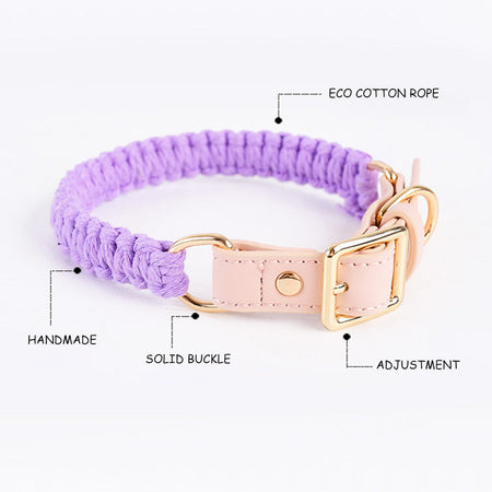 Macaron Handwoven Dog Collar lovepetin.com