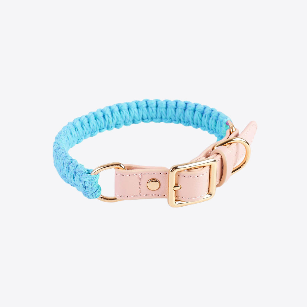 Macaron Handwoven Dog Collar lovepetin.com