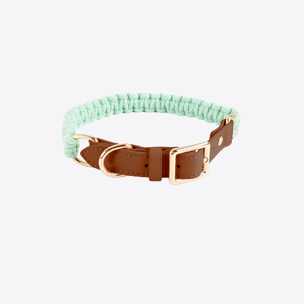 Macaron Handwoven Dog Collar lovepetin.com