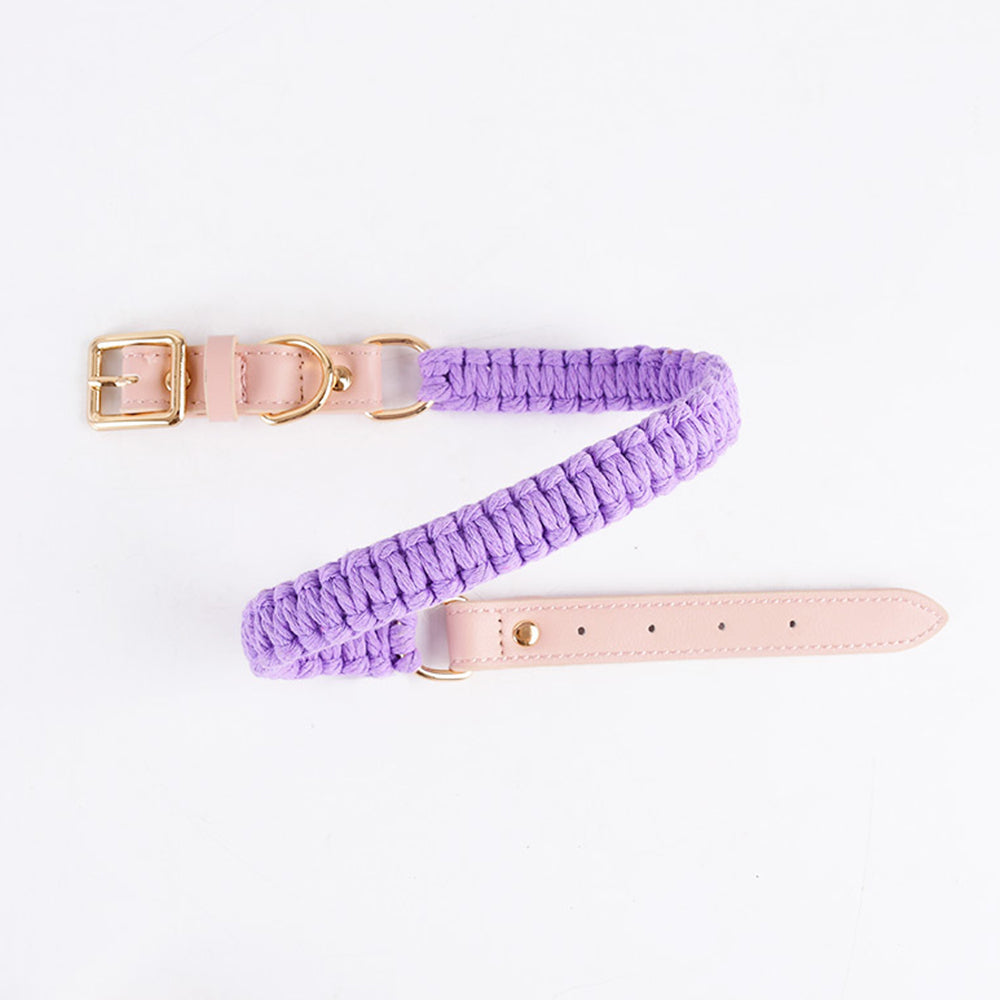Macaron Handwoven Dog Collar lovepetin.com