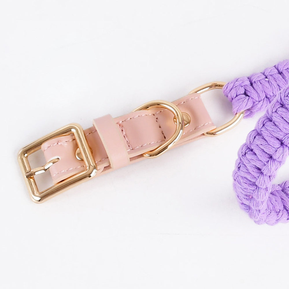 Macaron Handwoven Dog Collar lovepetin.com