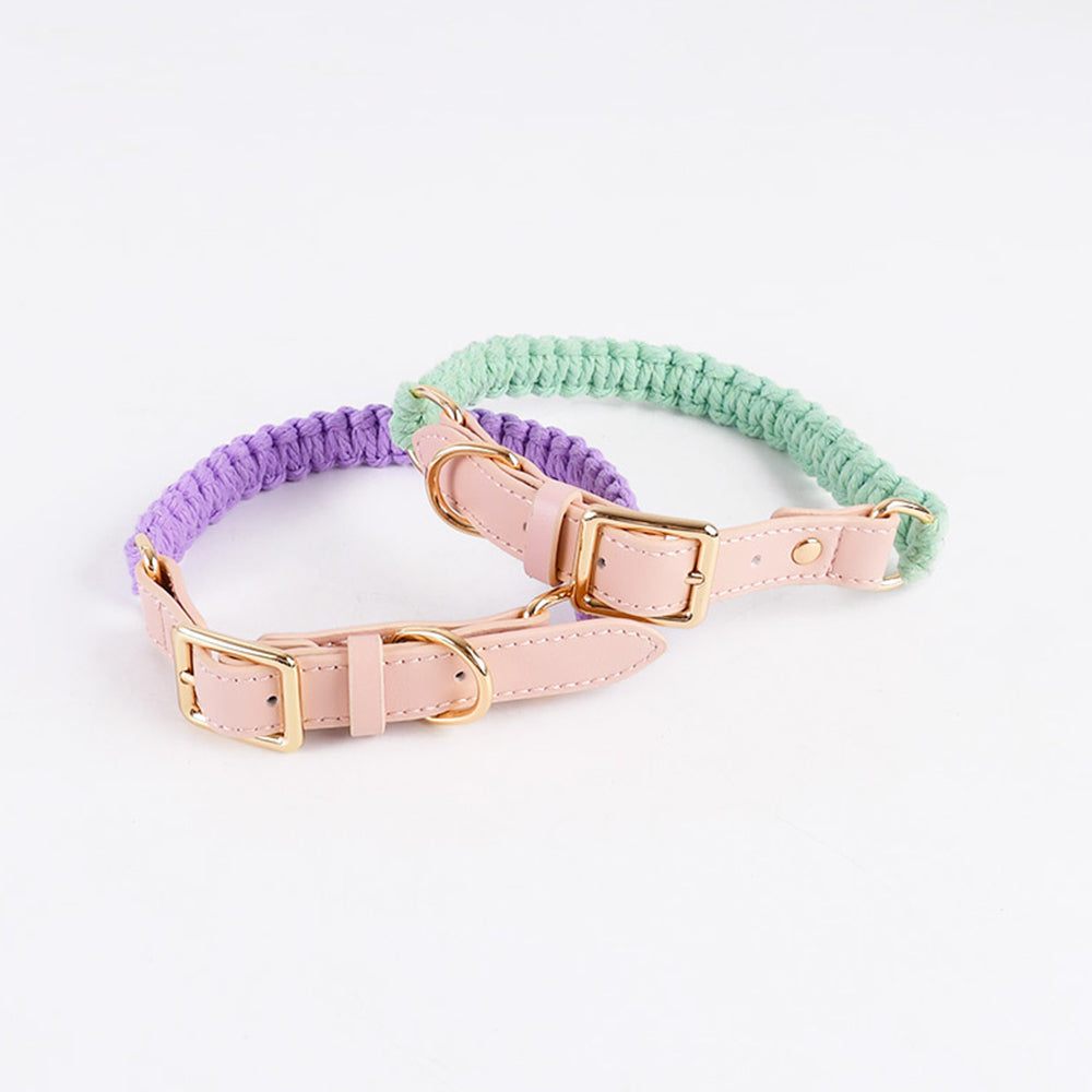 Macaron Handwoven Dog Collar lovepetin.com