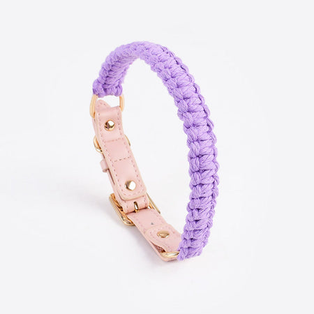 Macaron Handwoven Dog Collar lovepetin.com