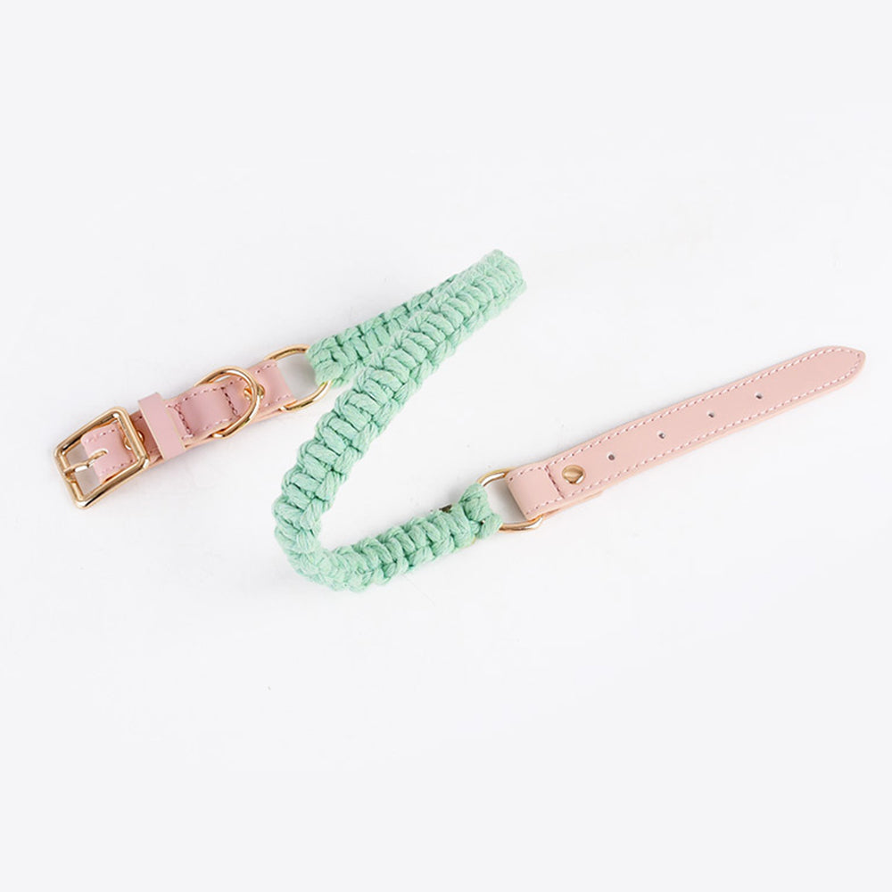 Macaron Handwoven Dog Collar lovepetin.com