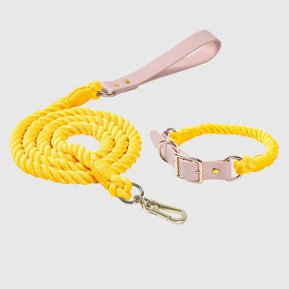 Macaron Series Cotton Rope Dog Collar&Leash Set lovepetin.com