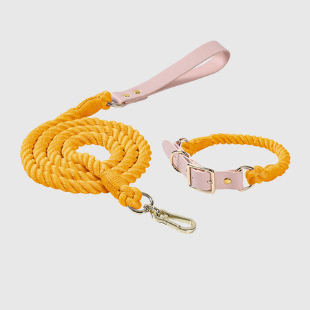 Macaron Series Cotton Rope Dog Collar&Leash Set lovepetin.com