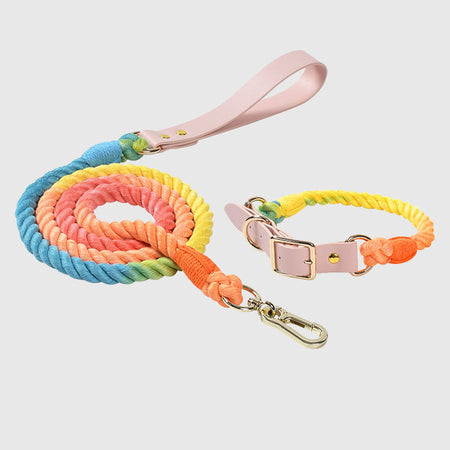 Macaron Series Cotton Rope Dog Collar&Leash Set lovepetin.com