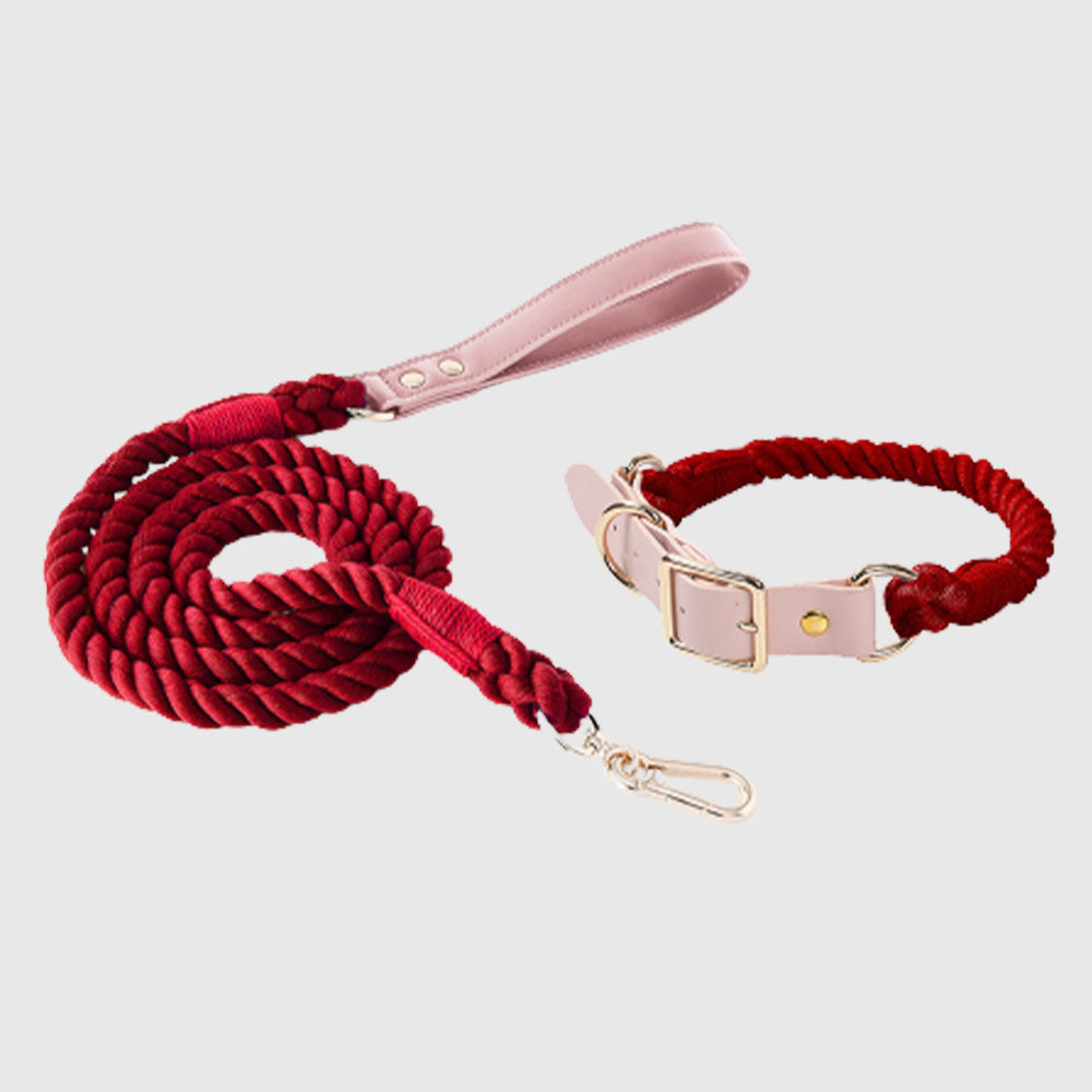 Macaron Series Cotton Rope Dog Collar&Leash Set lovepetin.com