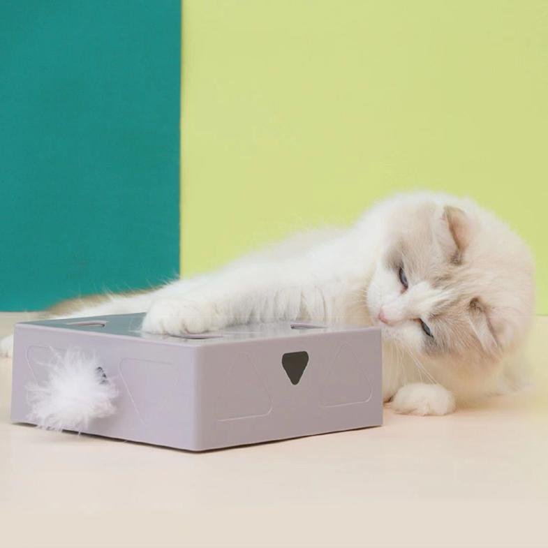 Magic Box Cat Interactive Toys lovepetin.com