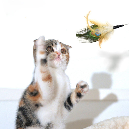 Man-made Beautiful Peacock Feather Cat Teaser lovepetin.com