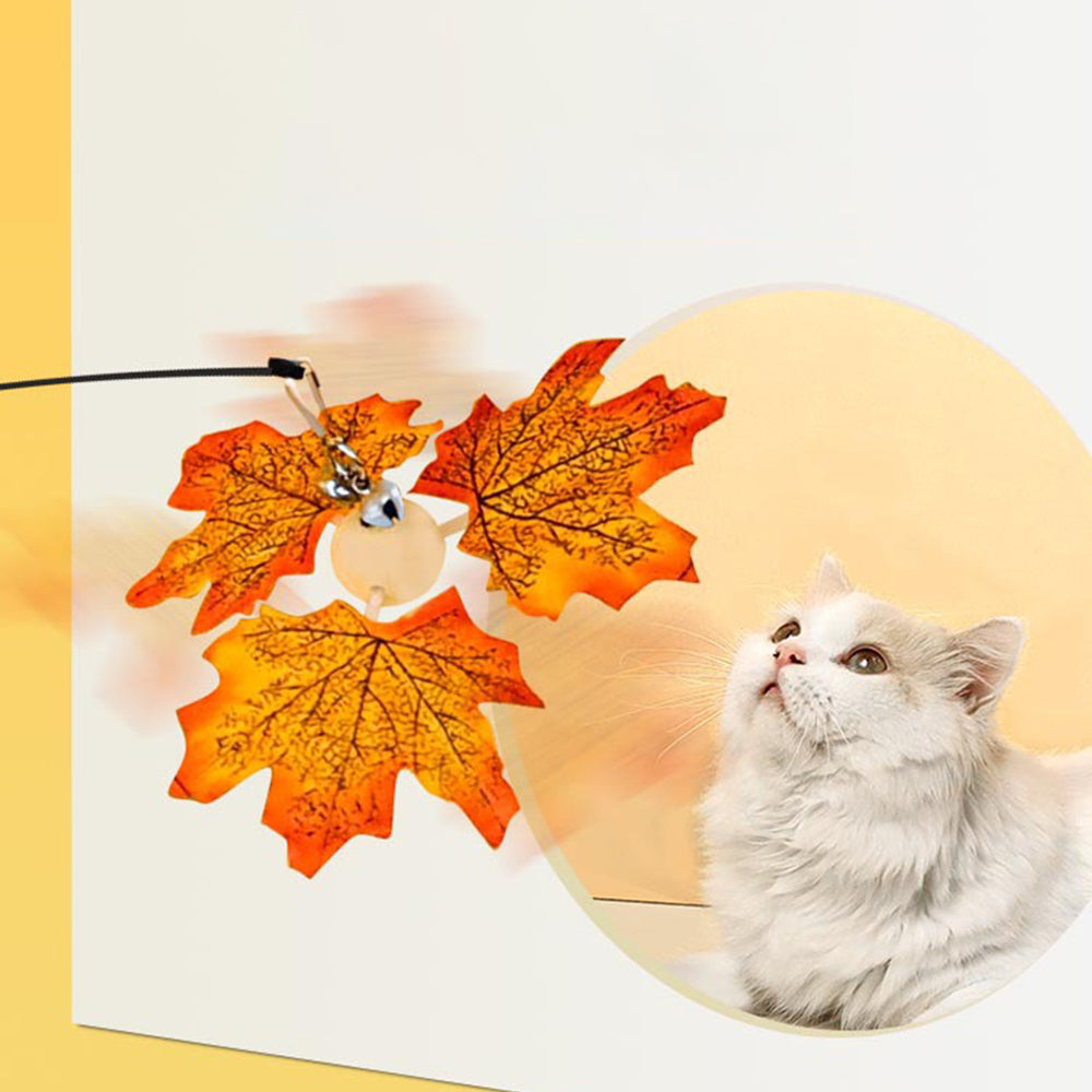 Maple Leaf Cat Teaser lovepetin.com