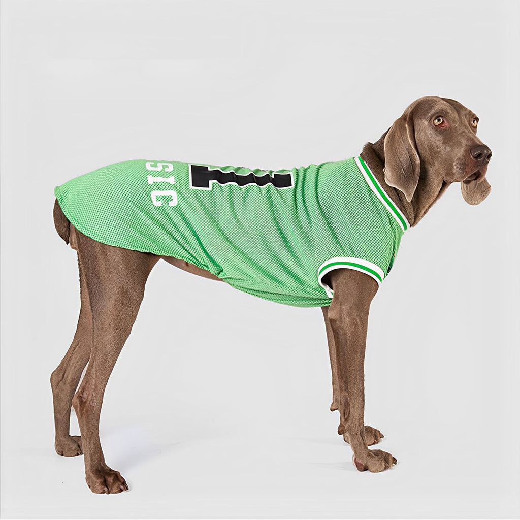 Mesh Breathable Fashion Dog-Shirt lovepetin.com