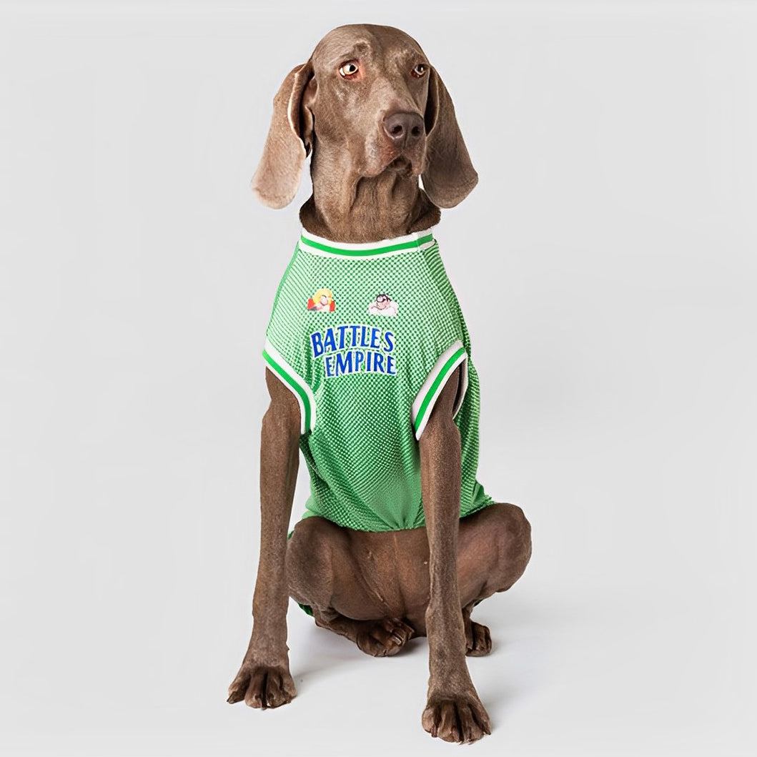 Mesh Breathable Fashion Dog-Shirt lovepetin.com