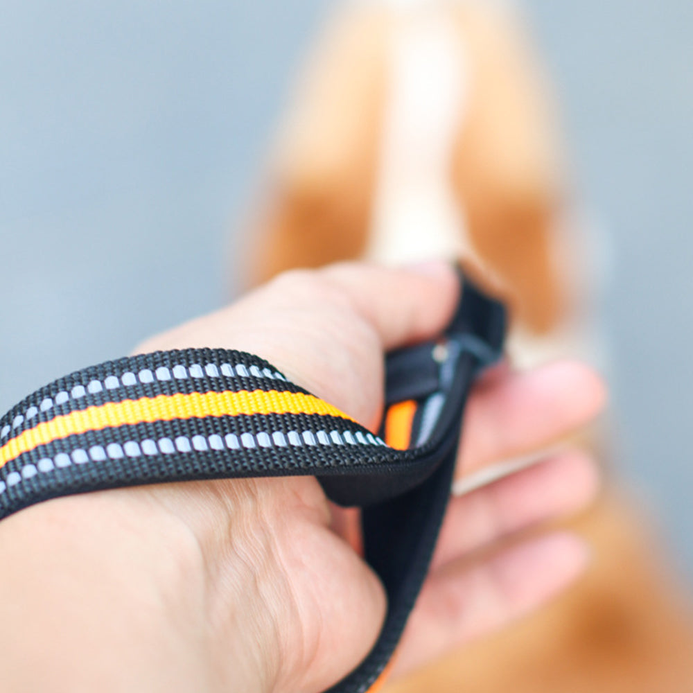 Micro-elastic Nylon Dog Leashes lovepetin.com