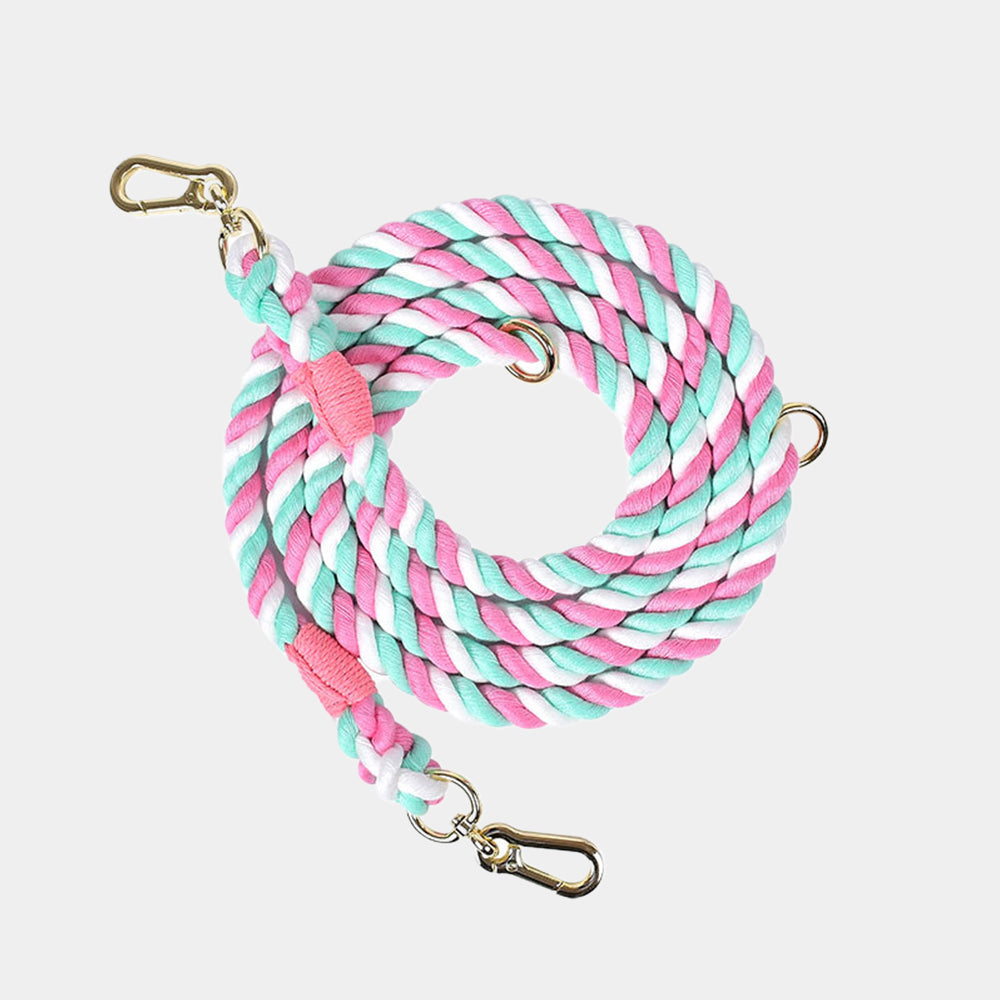 Multi-functional Iridescent Eco-friendly Material Dog Leashes lovepetin.com