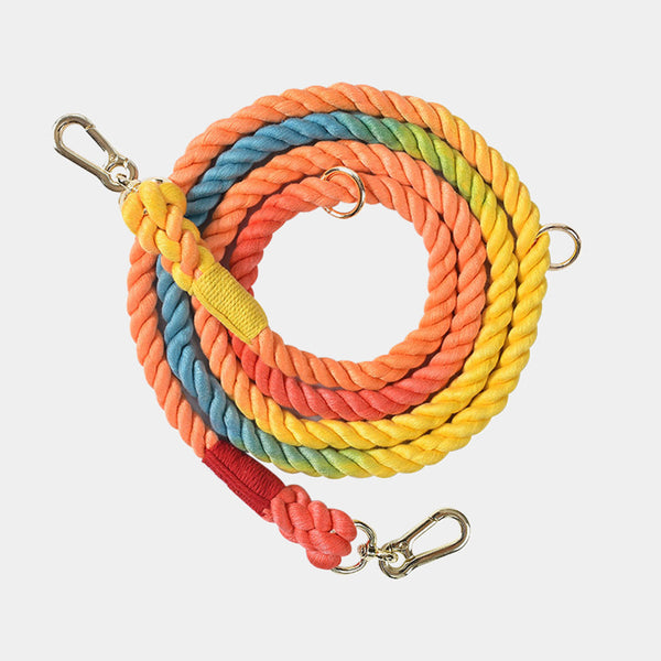 Multi-functional Iridescent Eco-friendly Material Dog Leashes lovepetin.com