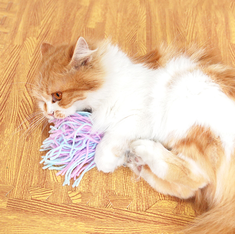 Octopus Wool Cat Toys lovepetin.com